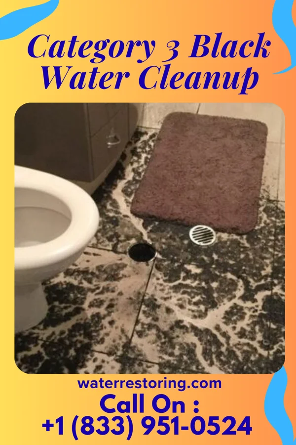 Category 3 Black Water Cleanup in Linden, AL